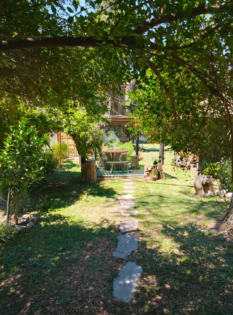 IMG-20241216-WA0019